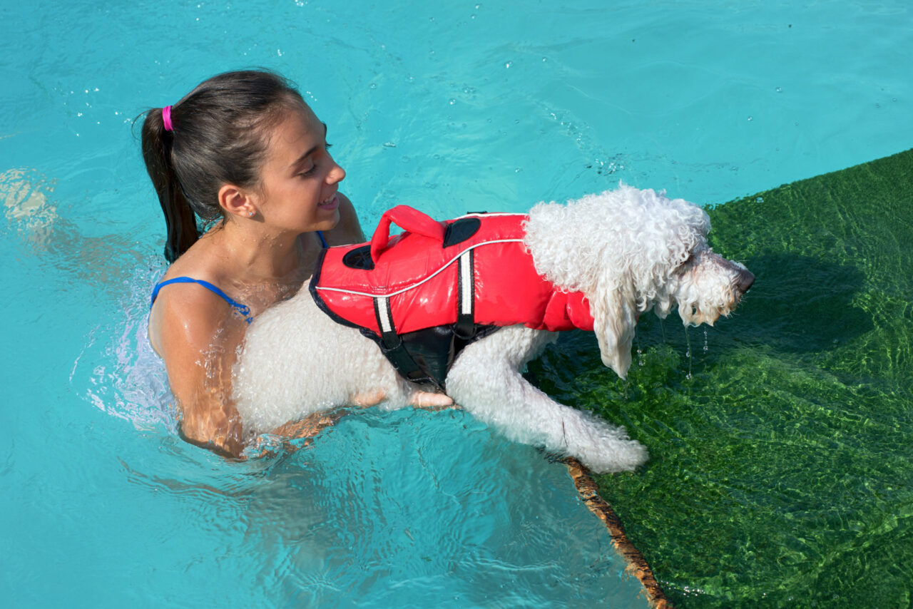 Schwimmwesten für Hunde