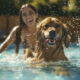 Sicheres Schwimmen mit Hunden